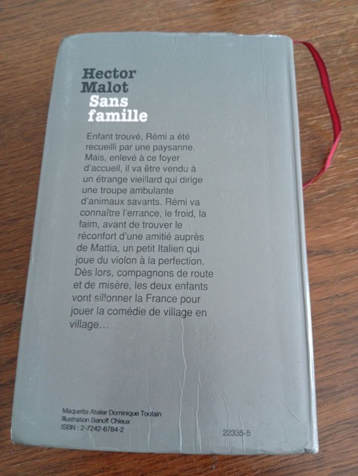 Sans famille - photo numéro 2