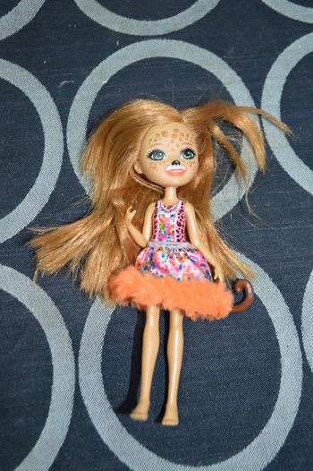 Poupée Enchantimals