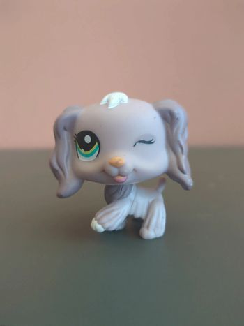 Littlest Petshop Lps Chien