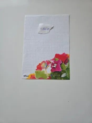 Diddl A5 n111 0.50C