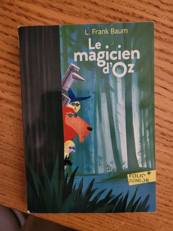 Livre le magicien d'oz