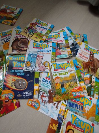 Livres youpi j'ai compris