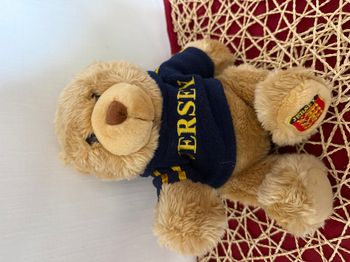 Peluche ours en peluche marron Keel Toys England bleu à capuche