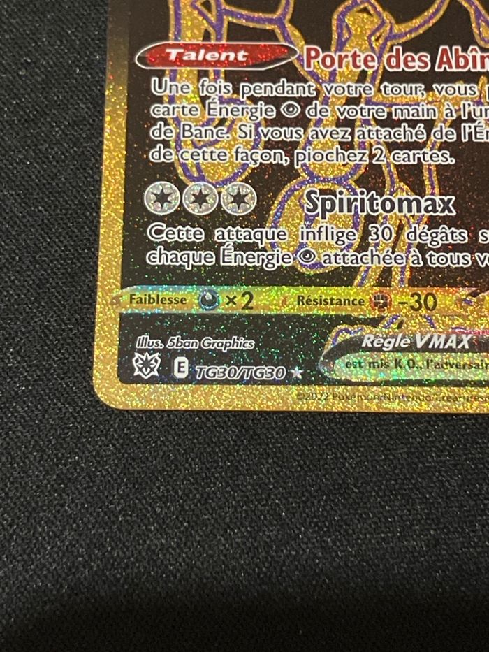 Sylveroy cavalier d’effroi VMax TG30/TG30 - photo numéro 2