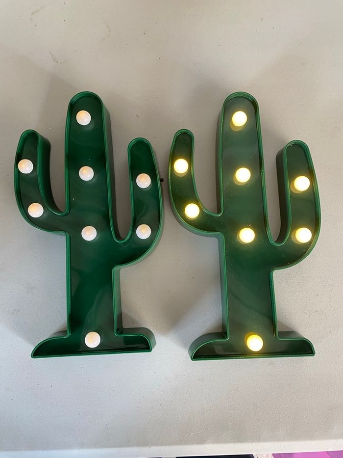 Cactus - photo numéro 6