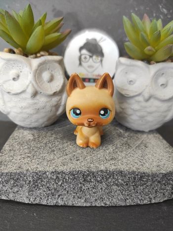 Little Petshop LPS chien berger allemand german shepherd 212 #geektradelpschien