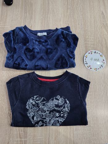 Lot de 2 pulls fille 4ans terre de marin et la halle tbe