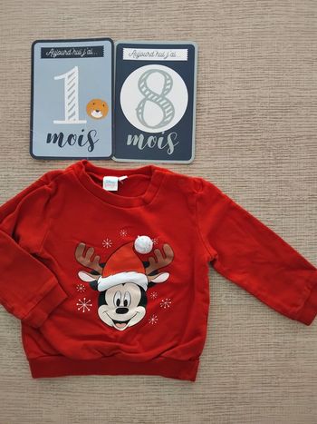 Pull 18 mois / 86 cm