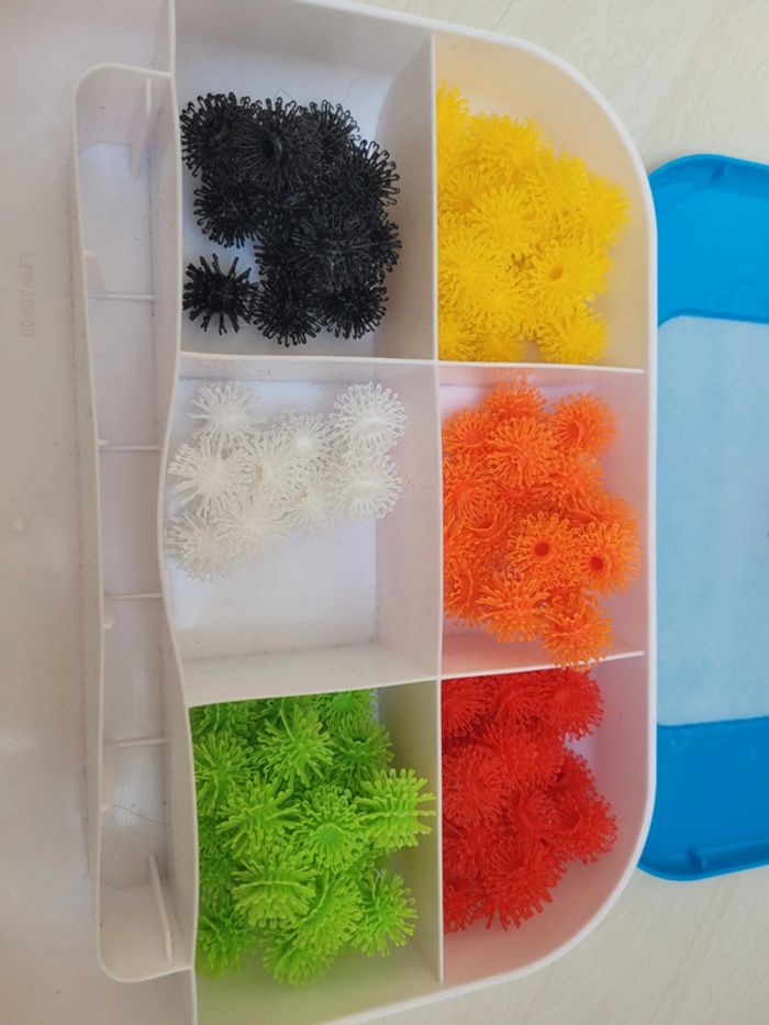 boite valise Bunchems - photo numéro 2