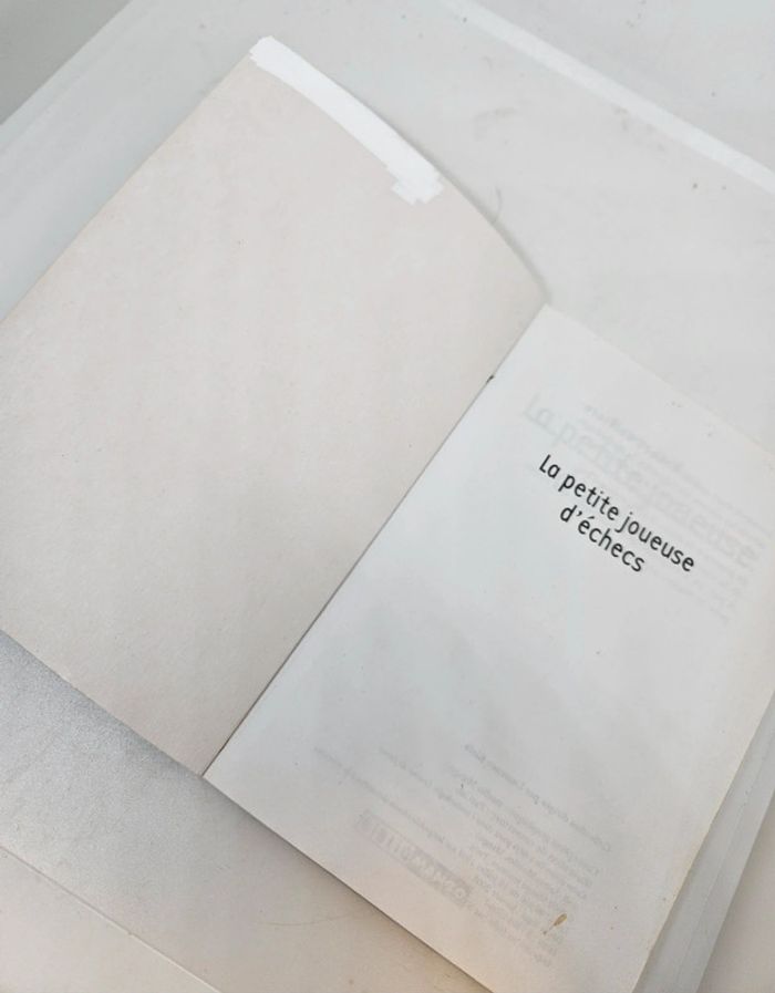 "La petite joueuse d'échecs", de Robert Belfiore.
Biblio mango.
72 pages.
ISBN : 2.7404.1508.7 - photo numéro 3