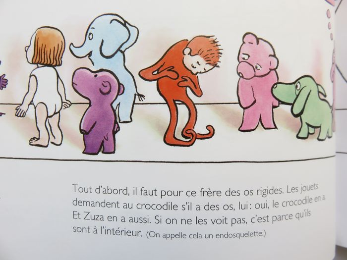 Album 7 à 9 ans : Comment fabriquer son grand frère Un livre d'anatomie et de bricolage. (L'école d - photo numéro 7