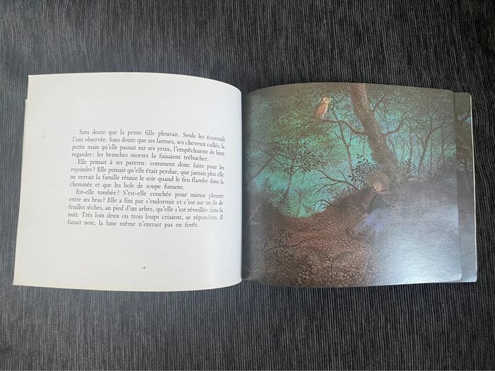 Bleue Bergère de JL Trassard et B Jeunet - photo numéro 3