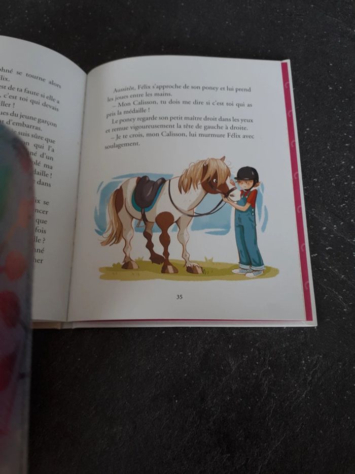 Livre état neuf aventures au poney-club, le vol de la médaille d'or - photo numéro 3