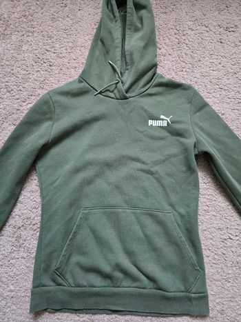 Sweat puma