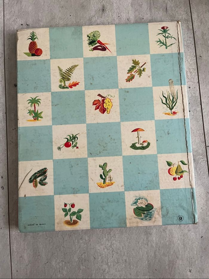 Le monde des plantes - photo numéro 2