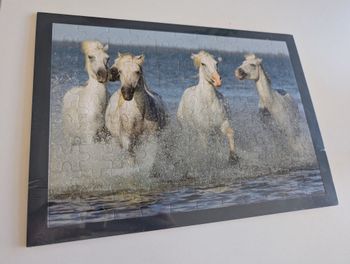 Puzzle cadre 99p Chevaux de Camargue