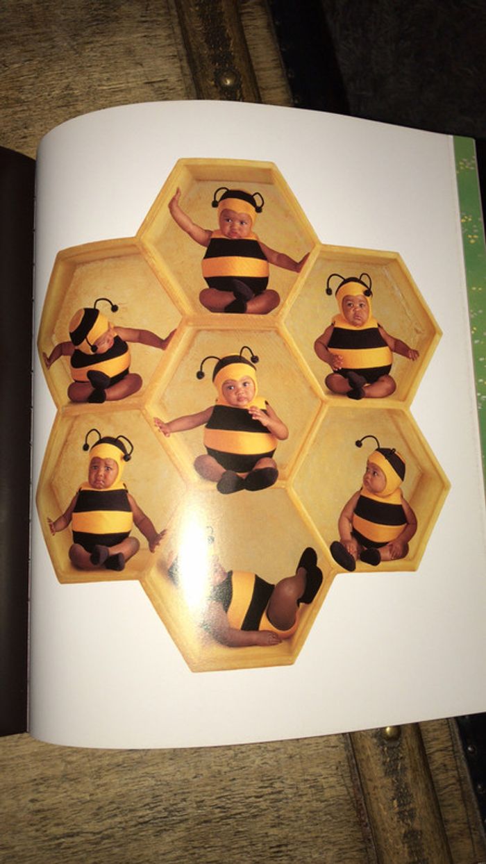 Magnifique livre Anne Geddes - photo numéro 7
