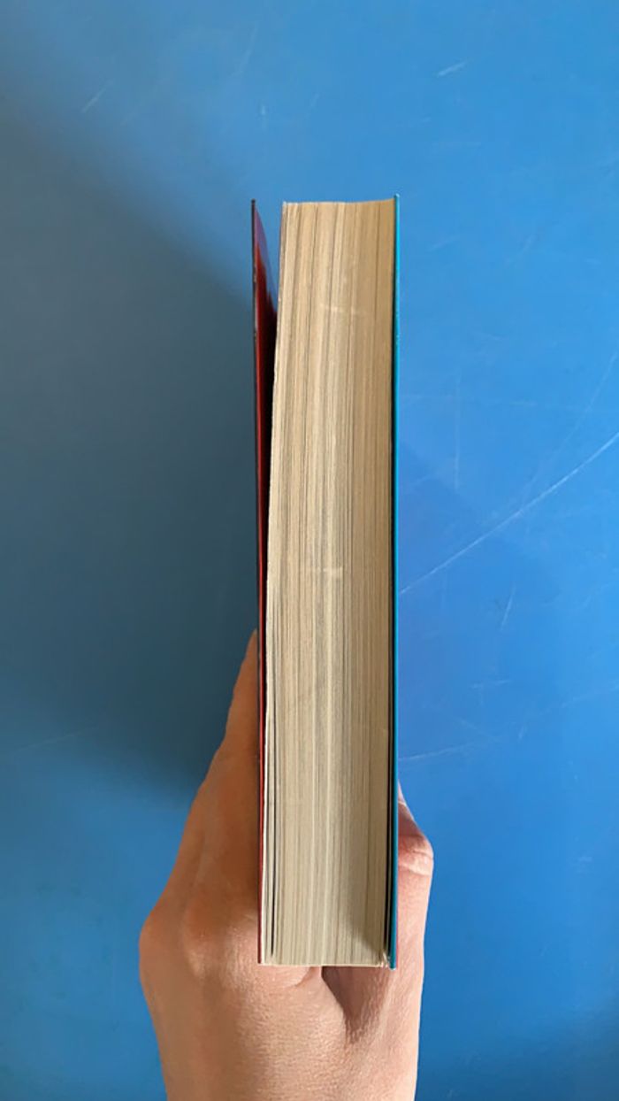 Livre Stoneheart de Charlie Fletcher - photo numéro 3