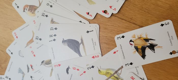Jeu de 52 cartes oiseaux - photo numéro 4