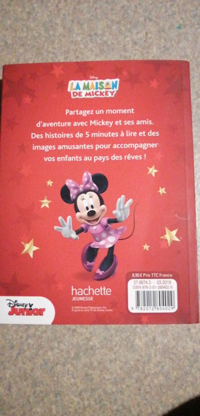Livre la maison de mickey - photo numéro 2