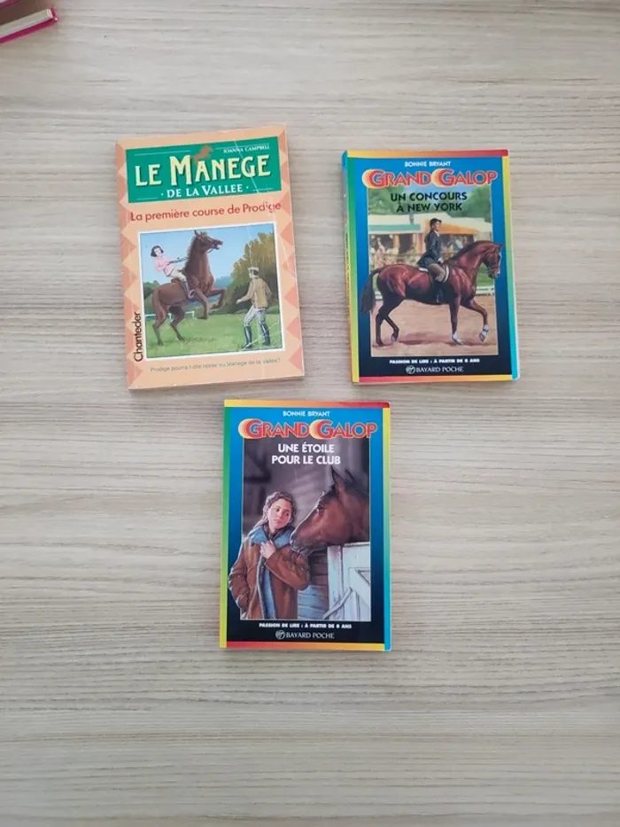 Lot 3 livres chevaux