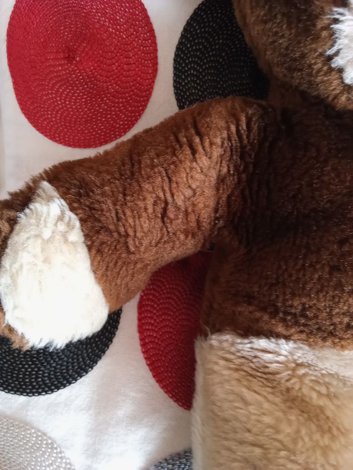 Peluche ours marron foncé / clair  beige   40 cm +/-  vintage ancien bel ours  ourson Boulgom  en posture debout  nez noir dur  yeux noirs en plastique - photo numéro 6