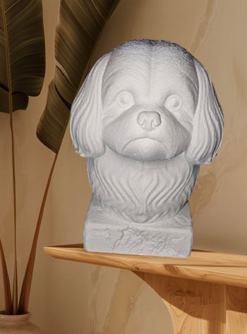 Buste de Chien Shih tzu