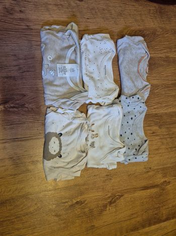 Lot 6 body mixtes