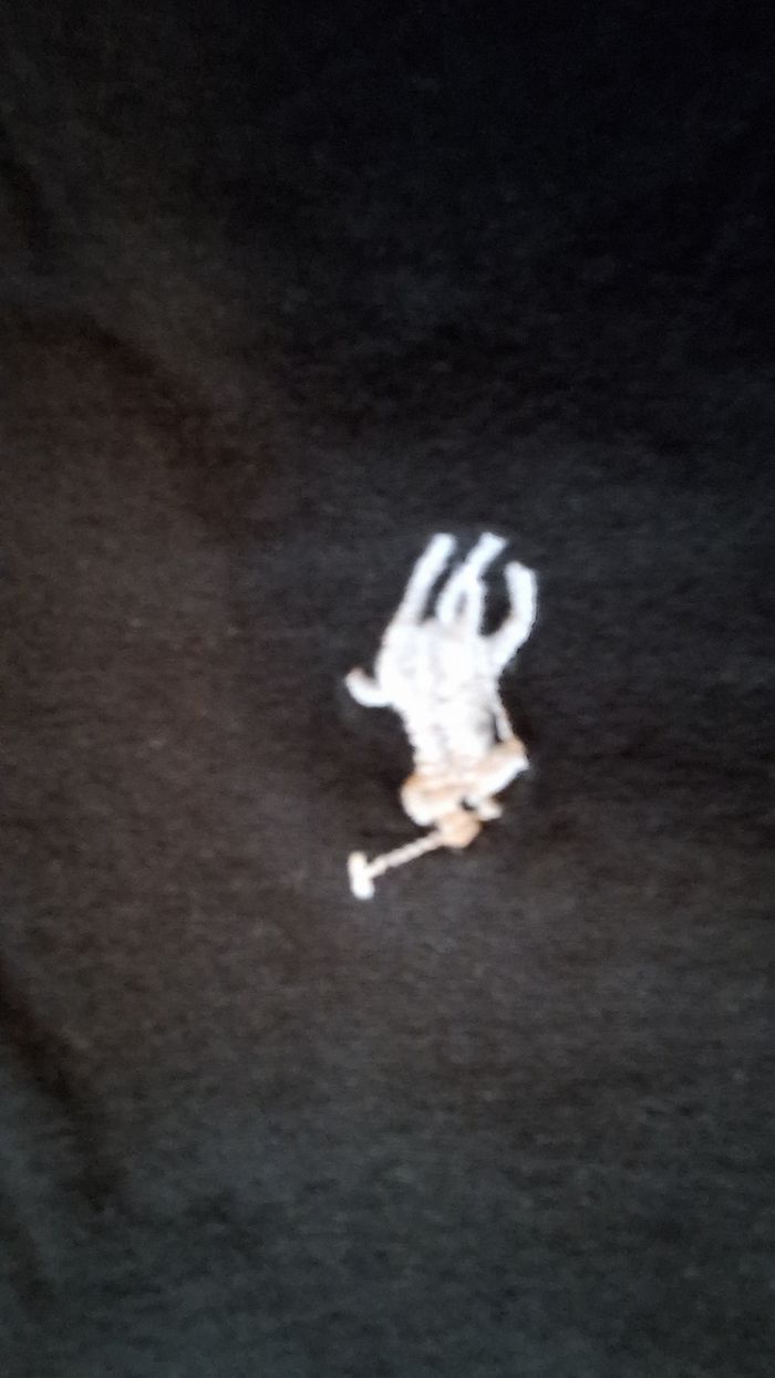 T-shirt Raphl Lauren noir taille L - photo numéro 3