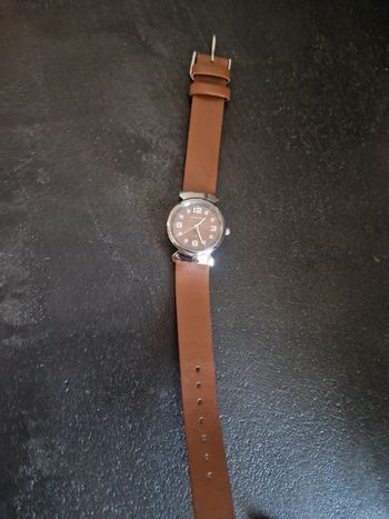 Montre auriol