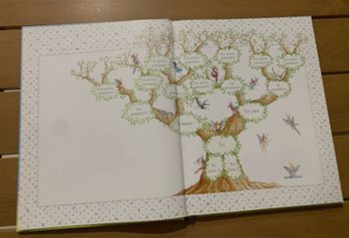 Bel album de famille vintage - photo numéro 3