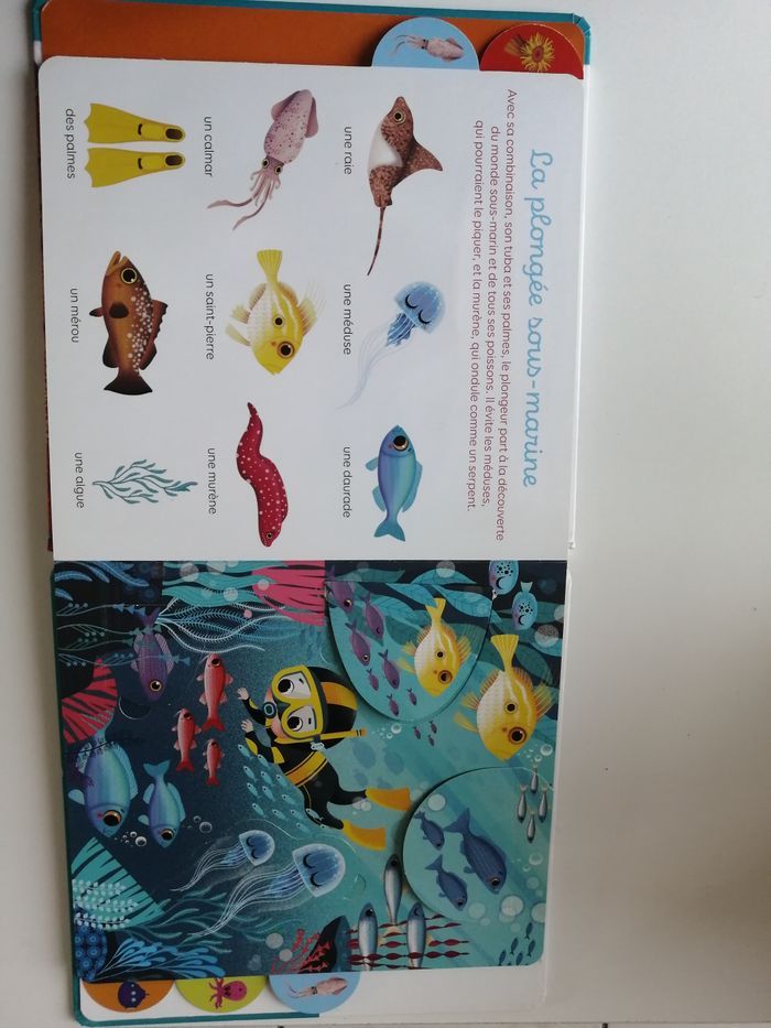 mon imagier à flaps - livre enfant - photo numéro 5