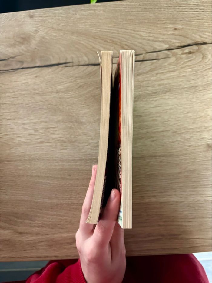 Lot de livres Sheltie / Ma licorne Magique pour enfants - photo numéro 4