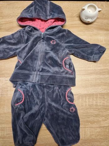 Ensemble jogging chat 🐱