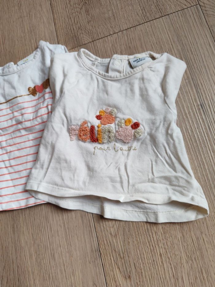 Lot Tee shirt - photo numéro 3