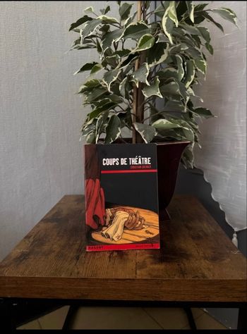 Coups de théâtre - Christian Grenier