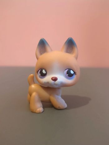 Littlest Petshop Lps Chien