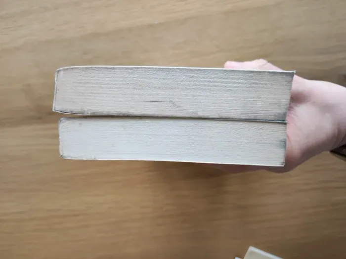 Lot Livre le chinois - photo numéro 7
