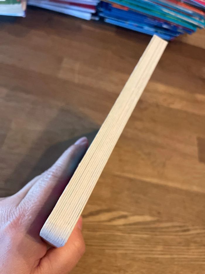 Livre cartonné Auzou Piti l’escargot conte Super Bourdon - photo numéro 5