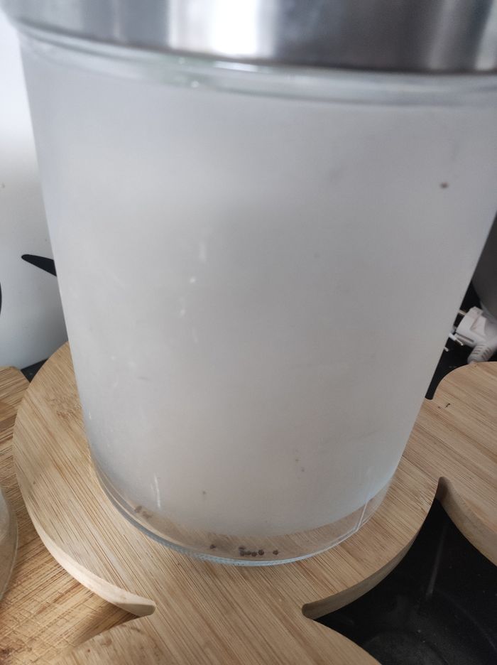 4 pots en verre - photo numéro 6