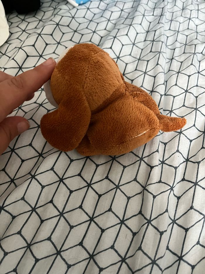 Petit chien - photo numéro 2