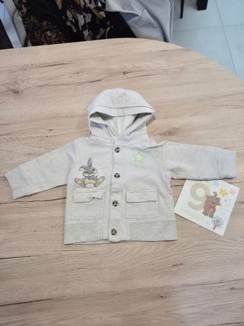 Gilet à capuche à boutons, Panpan, Disney Baby, 9-12 mois