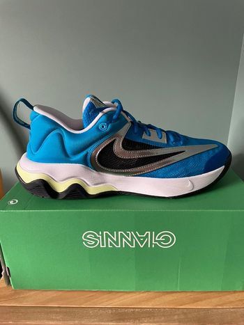 Nike Giannis  immortality 3 taille 45,5