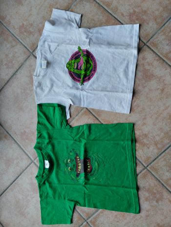 lot de 2 T-shirt garçon 5/6 ans