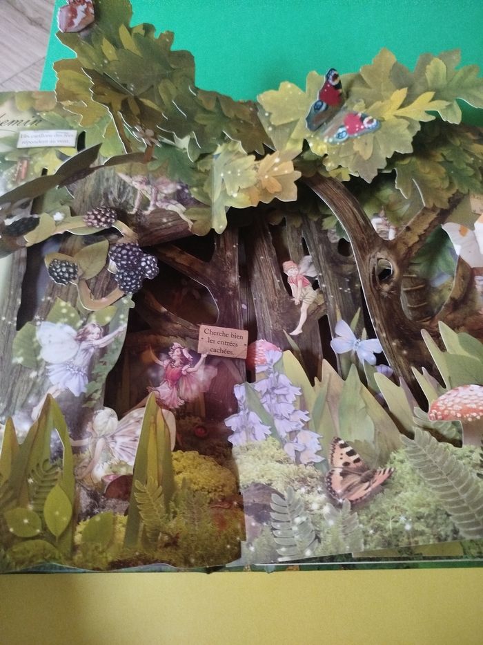 Pop-up à la recherche des fées et des fleurs - photo numéro 4