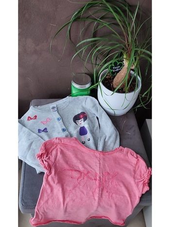 Lot gilet + tee-shirt 12 mois