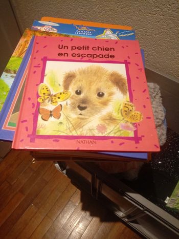 Livre enfant :"Un petit chien en escapade "