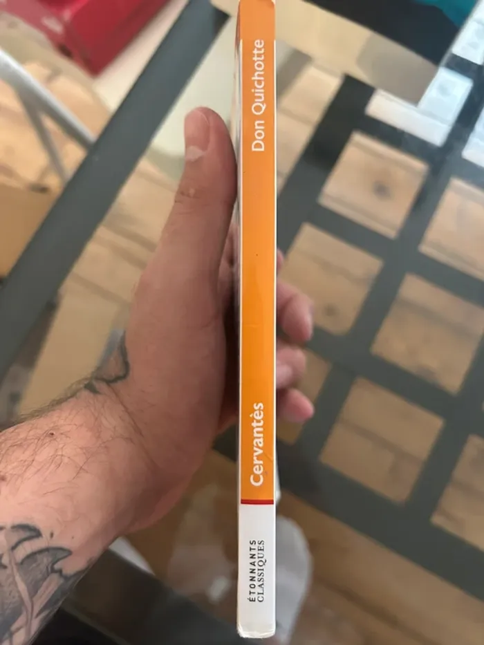 Don Quichotte, Cervantès - photo numéro 3