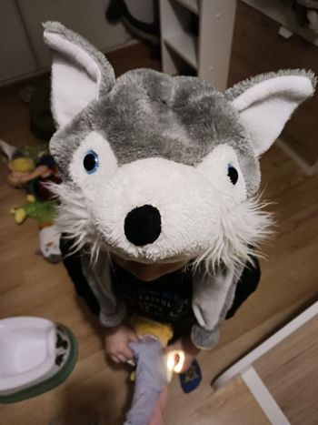 Bonnet loup