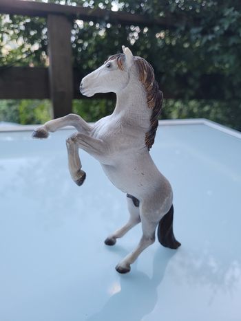 Cheval Schleich, Mustang cabré gris